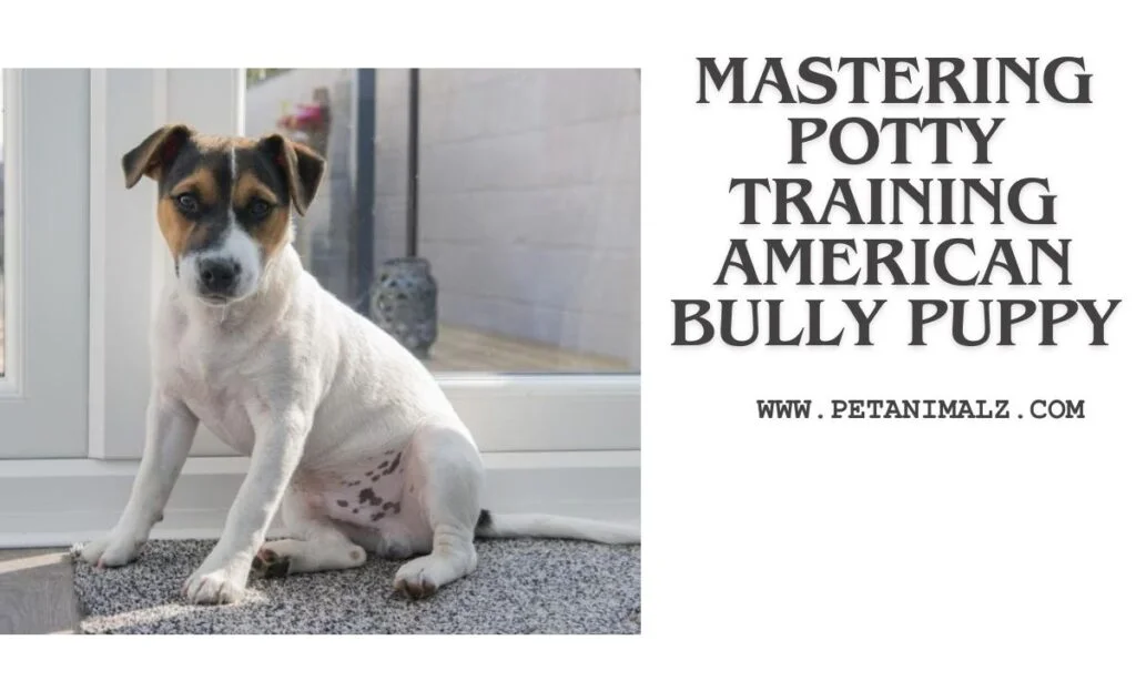 Mastering Potty Training American Bully Puppy : A Comprehensive Guide for Your American Bully Puppy