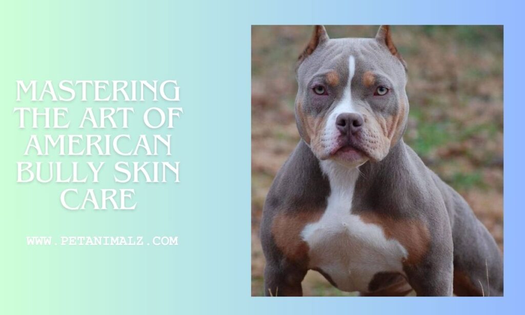 Mastering the Art of American Bully Skin Care