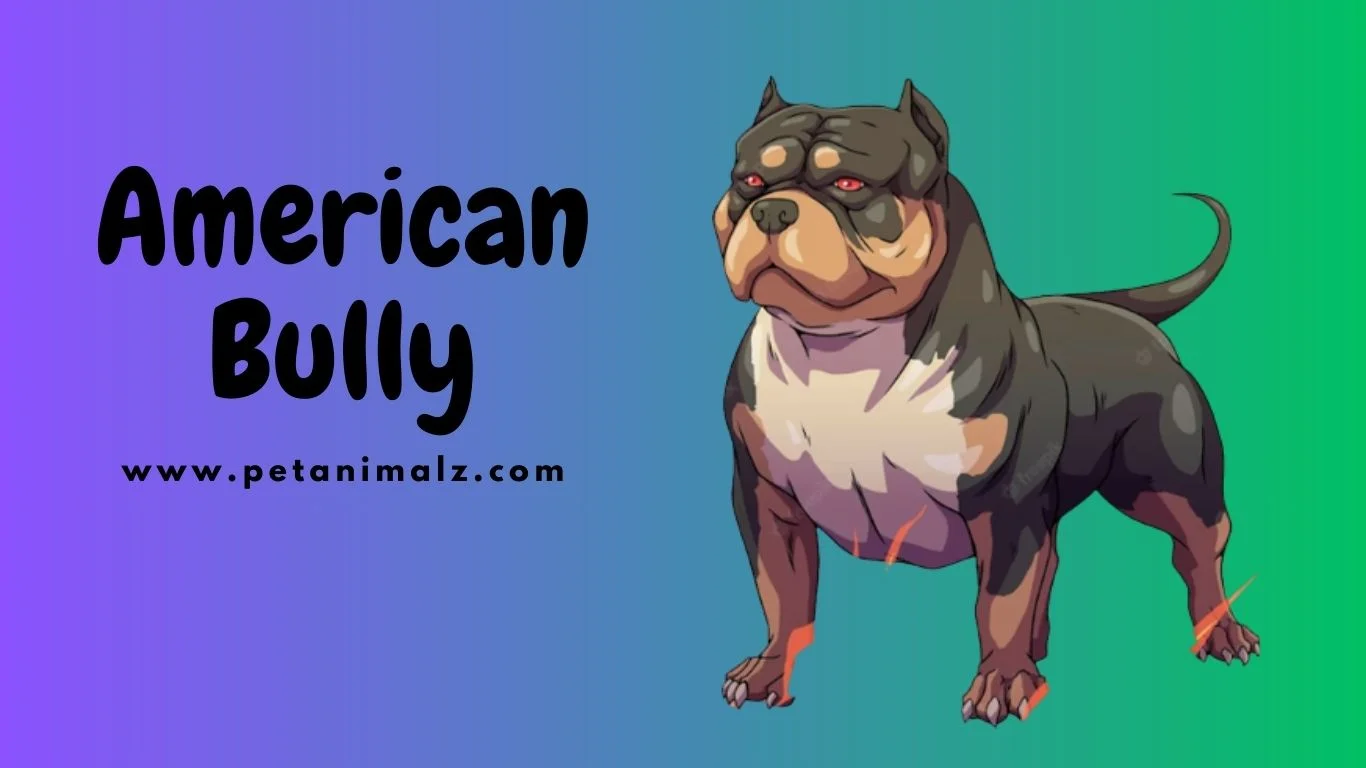 American bully bite force