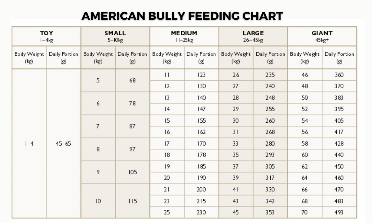 American Bully Feeding Chart