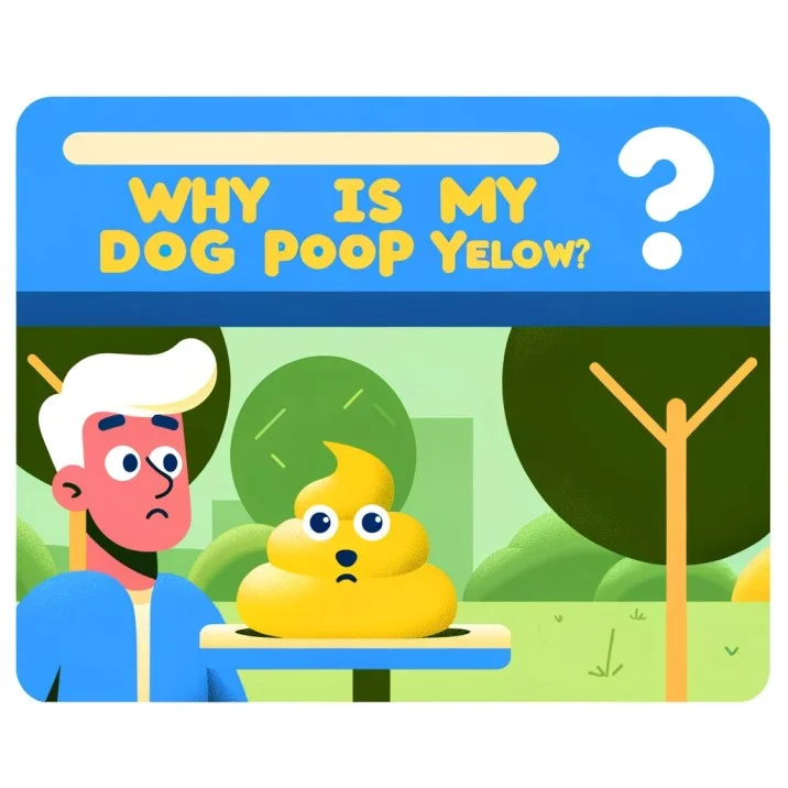 Yellow-Dog-Poop-